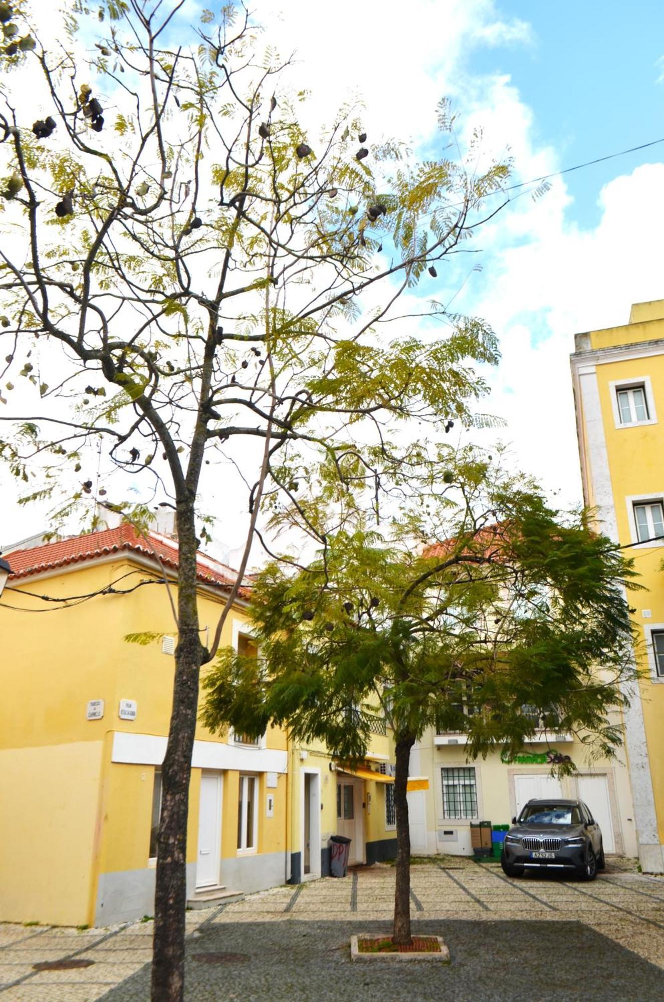 Rooms Dp Setúbal Exterior foto